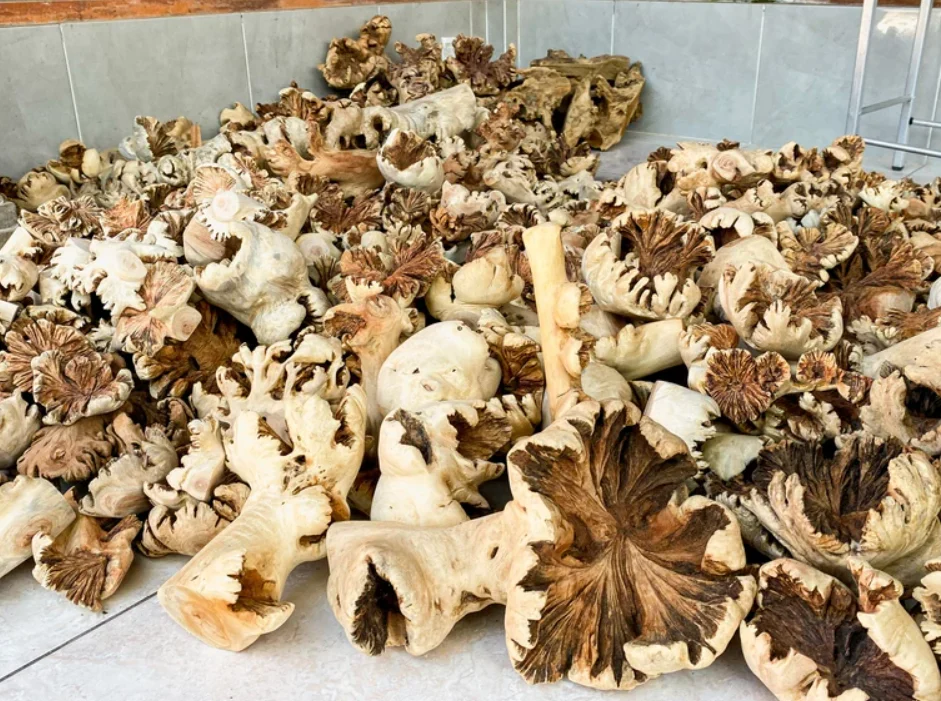 Firewood